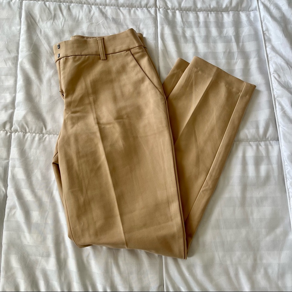 Express Dress Pant